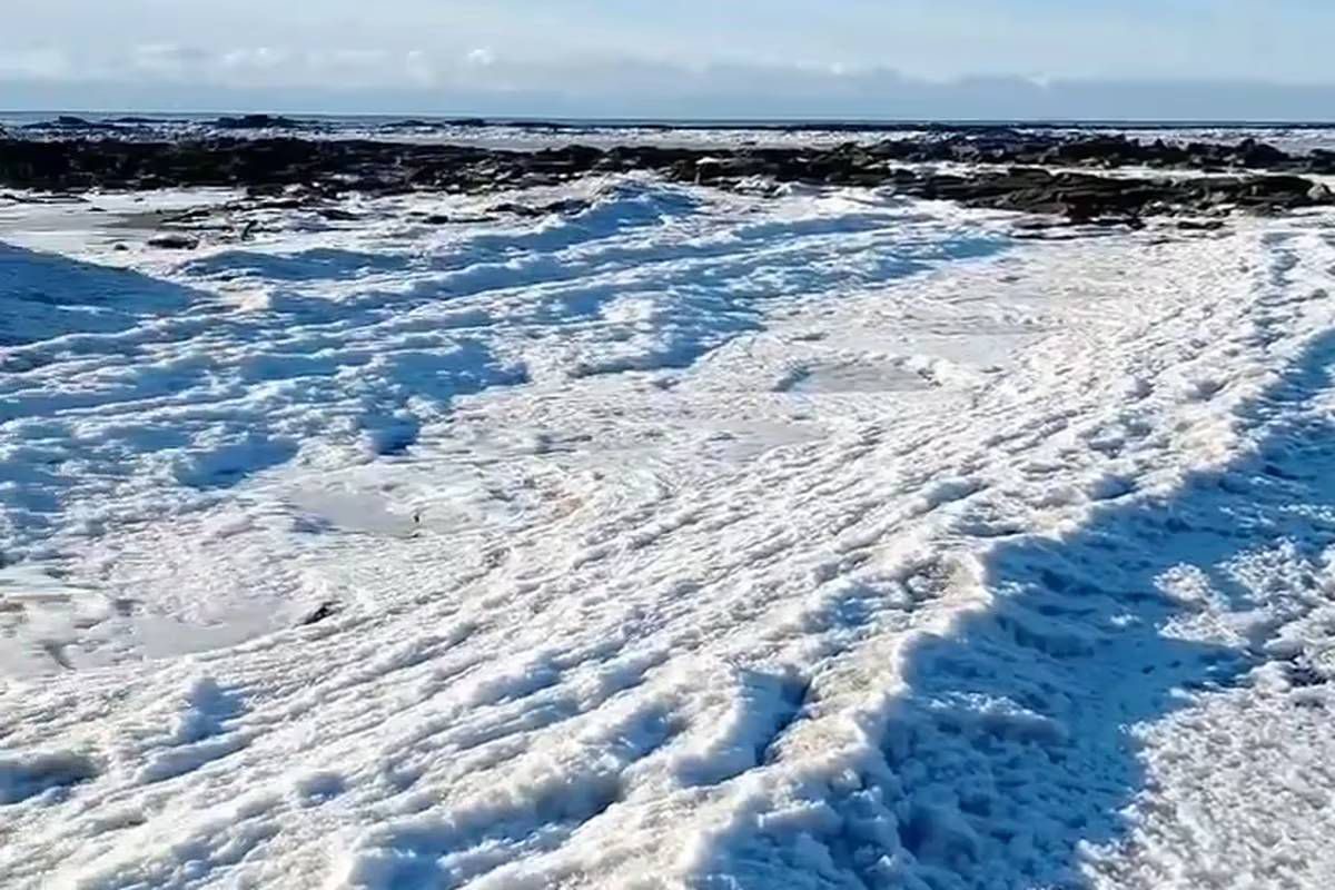 El frío extremo congela el mar en Tierra del Fuego, en Argentina, las ...